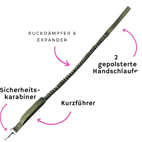 Leisegrün Hundeleine elastisch mit Ruckdämpfer 130–200 cm – Anti Zug Bungee Leine aus Nylon mit Kurzführer, für mittelgroße und große Hunde, Olivgrün