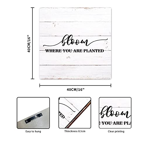 Bloom Where You Are Planted tableau chrétien Evans1nism maison et salon - 2