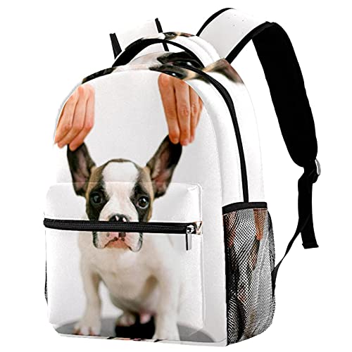 Sac à dos voyage Campus Bouledogue français anti mal de dos enfant