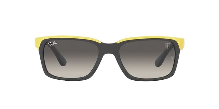 Ray-Ban ドライビングコレクション サングラス 楽天市場】Ray-Ban サングラス RB3539 002/Q3 54 レイバン ERIKA