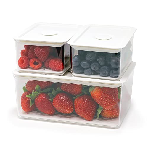List of Ten Best Storage Container For Fruit Top Picks 2023 Reviews