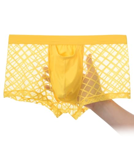 Sexy Mens Underwear with Pouch Mesh Boxer Briefs See Through Trunks Open Fly Pack2