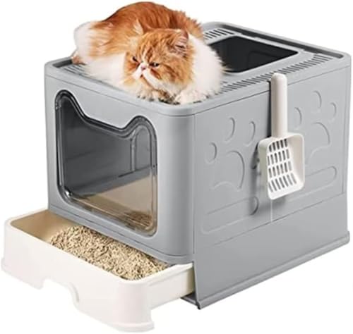 LgC lR VXegC LpgC{ юUȂ LȂ XRbvt ₷ Rꍻ݌v ʓ ォo o ܂肽ݎ [ȒP gȒP LhA sN (O[)