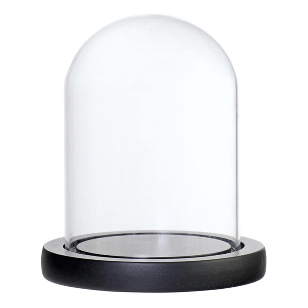 Glass Dome Cloche with Wood Base Flower Landscape Holder Glass Cover Black B-image-23