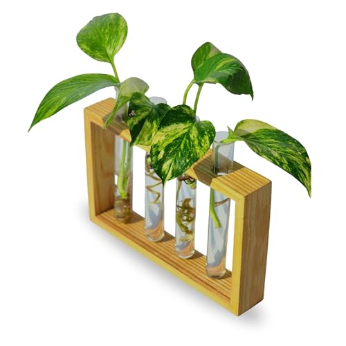 Image of Pilwals Modern Wooden Test Tube Vase, Multi-Tube Hydroponic Propagation Station, Desktop Propagation Station, Flower Holder for Home Office Decor, Four Test Tube Planter with Wooden Stand Pine Wood.
