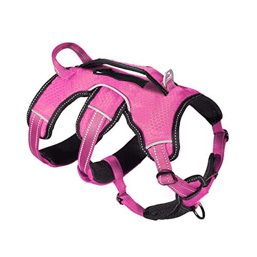 Tuff Pupper 5-Point Adjustable Harness