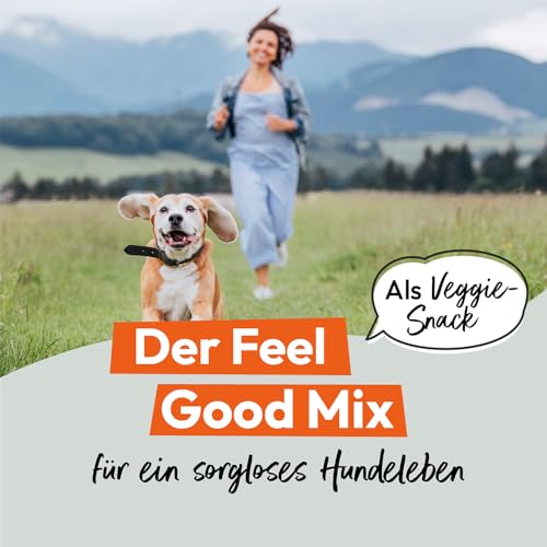 Grau - das Original - HOKAMIX30 Snack Maxi Veggie, der gesunde vegetarischer Snack mit 30 wichtigen Kräutern, 1er Pack (1 x 800g), Ergänzungsfuttermittel für Hunde