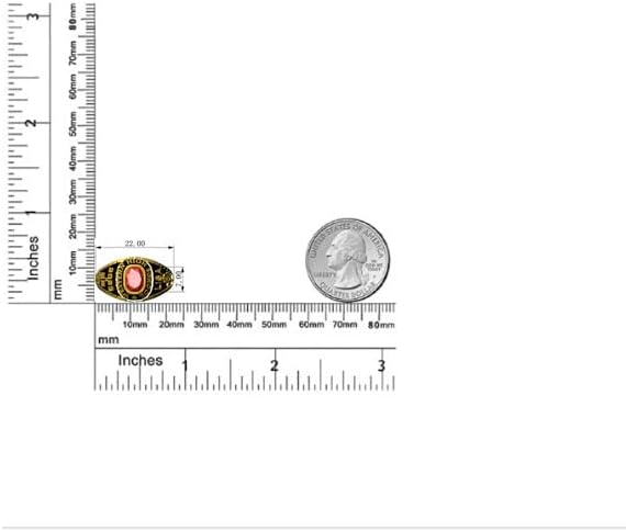 Miniatura 7 de PJM Mementos USA - Anillo de clase auténtico para mujer, colección Classic Petite - Plata de ley 925 auténtica u oro de 10 quilates - Anillo