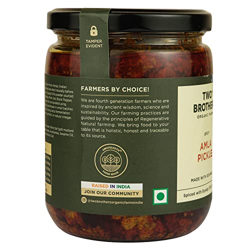 Image of TWO BROTHERS ORGANIC FARMS | SPICY AMLA PICKLE 500G