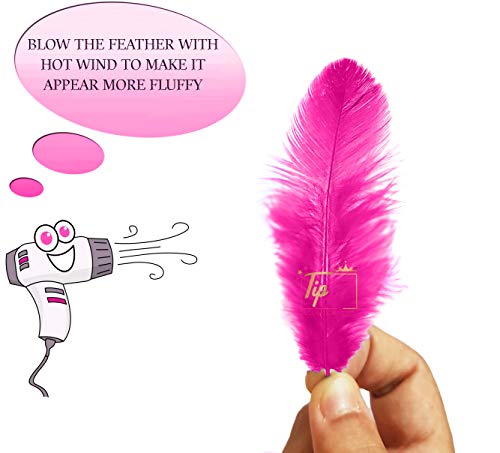 Image of TIPTOP DECORATION Natural Dyed Feathers 10 cm (80 pieces) (Dark Pink)