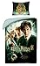 Fun Unlimited Oryginalna pościel dwustronna Harry Potter, zestaw 2-częściowy, 135 x 200 cm, 80 x 80 cm, 100% bawełna, linon, szkoła Hogwartu
