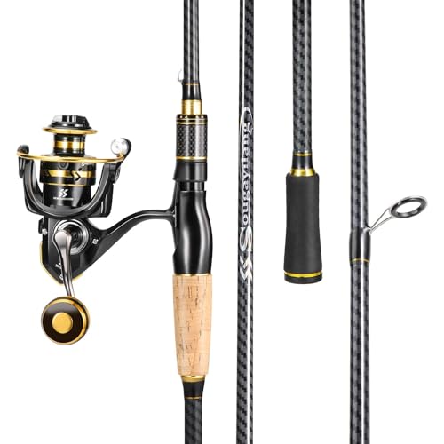 Canne à pêche en composite de carbone Sougayilang x2 avec moulinet 2000 pour étang