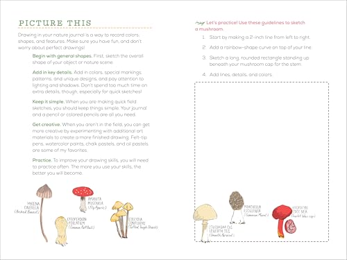 image for Callisto Kids Exploring Nature Journal for Kids: Observe and Record th