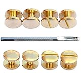 DGOL 30 Sets Brass Chicago Screws Posts Arc Head Backscrews Binding Rivets with Install Hole Punch (0.158 inch)