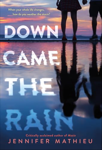 Down Came the Rain view 2