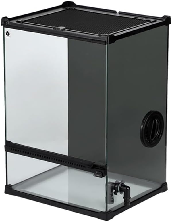 SS611 流木 灰汁抜き済み アクアテラリウム 爬虫類 シェルター