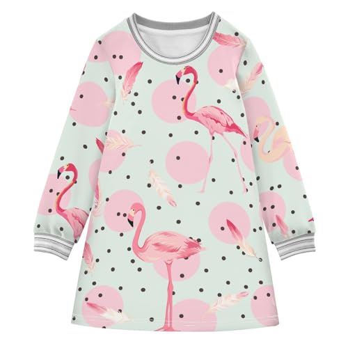 Flamingo Dot Girls Dresses Long Sleeve Sweatshirt Dress for Girls Winter Toddler Casual A Line Dresses Size 2-8T