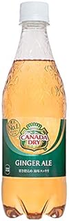 カナダドライジンジャーエール 500mlPET×24本×【１ケース】
