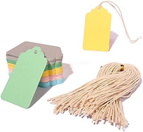 100PCS Blank Gift Tags, Paper Tags for Wedding, Blank Craft Marking Hang Tags with Free 100 Root String (Mix 5 Color)
