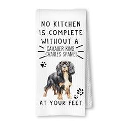 Cavalier King at Your Feet