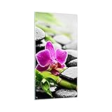 Langlebige Farben und professionelle Tonerkartsuchen machen das Wandbild zu einem perfekten Innenfüller und einer wunderbaren Walldecoration. Artglasbilder bestehen aus einem 4 mm dickem Glas. Die Glaskanten haben einen matten Trapezschliff. Der Kunstdruck auf Glas ist aufhängefertig an der Wand. Die Bildoberfläche ist beständig gegen UV-Sonnenlicht. Europäische Marke ARTTOR. Ein Produkt der PREMIUM-Klasse.