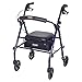 Carex Steel Rollator Walker with Seat and Wheels, Includes Back Support, Rolling Walker for Seniors and Those Needing Assistance Walking, Locking Handbrakes, Supports 250lbs, Foldable