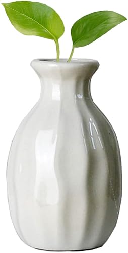 Jarrones pequeños hechos a mano, mini jarrones de cerámica Jarrón de escritorio de oficina para manualidades, micro jarrones de paisaje, adorno