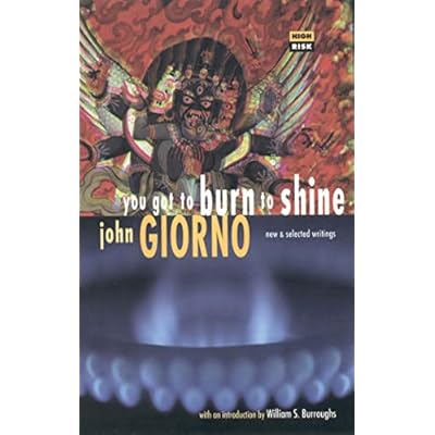 You Got to Burn to Shine - new and selected writings