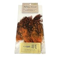 Amazon | アングル(ANGLE) アキスコ フライ マテリアル コック