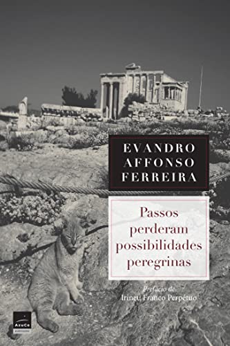 Passos perderam possibilidades peregrinas: Uma visão poética sobre o tradutor José Paulo Paes (Portuguese Edition)