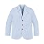 Classic Blue Gingham
