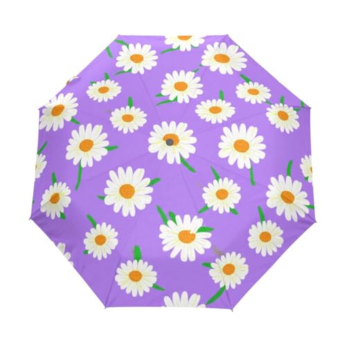 Parapluie de ville compact à marguerites blanches pour les trajets quotidiens
