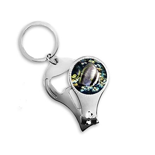 Ocean Fish Coral Science Nature Picture Nail Nipper Ring Key Chain Bottle Opener Clipper