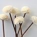 30 Pcs 8 Inch Brown Rattan Reed Fragrance Diffuser with Flower Replacement Refill Rattan Sticks
