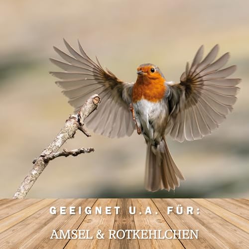 MeinWildvogel Erdnussbutter Mix-Karton 12x 350g, nährstoffreiches Fettfutter mit Sonnenblumenkerne für Wildvögel und Gartenvögel. Ganzjähriges Weichfutter für Ihre Vögel, ohne Gentechnik