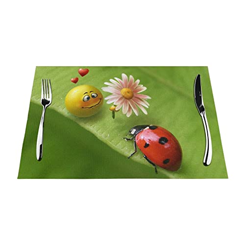 Sets de table faciles à nettoyer Insects Love pour protéger vos meubles