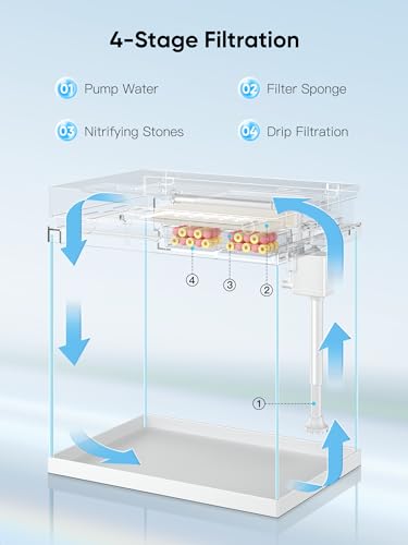 PONDON 4 Gallon Smart Fish Tank, Glass Betta Tank with Filter and Light, Beta Fish Aquarium Startar Kit with Automatic Feeder