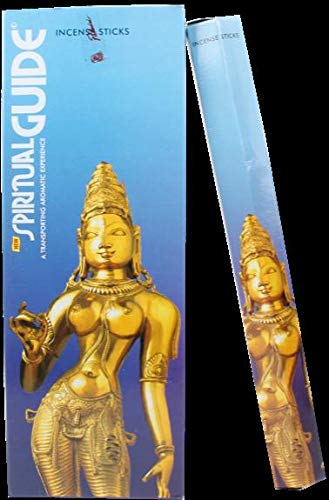 Encens spiritual guide - 20 grs - padmini