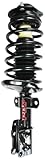 FCS 1332356L Complete Strut Assembly