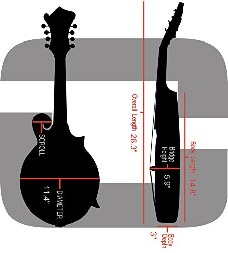 Image of Crossrock Case - Fiberglass Mandolin Case - Fits Both A & F Styles - Padded Straps, Accessory Compartment, Fixed & Removable Padding - Includes TSA Lock - Black