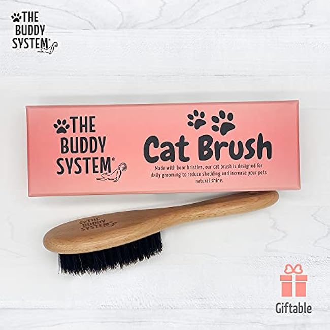 The Buddy System Cat Brush with Boar Bristle and Wooden Handle, Professional Grade Daily Grooming Hairbrush, Reduce Shedding, Soft Hair and Healthy Shine (1 Pack)-YWqTpcyW