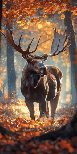 G ij, qp lp S, DIY G fW^G Lbg ȒP ŃyCglLbg hG  ANʊG̋MtH| |phCeA Ǐ j̑蕨 100x200cm (t[X) i-