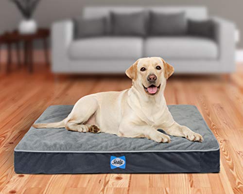 Sealy Ultra Plush Dog Bed - Orthopedic Foam pet Bed with Machine Washable