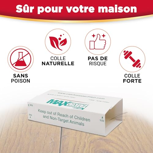 Piège souris rongeurs solution plaques collantes Catchmaster 72MAX 10
