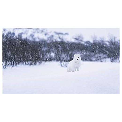 DIY 5D diamantmålning efter nummer kit The Winter of Arctic Fox färg med diamanter konst utbud kanvas väggdekor 40 × 50 cm