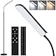 TRUMPETS 18W Stehlampe LED Dimmbar 2000LM mit Fernbedienung Unendliche Farbtemperatur & lineare Leuchtdichte, 360° Flexibler Schwanenhals,1 Hour Timer, floor lamp für Wohnzimmer Schlafzimmer (18W-B1)
