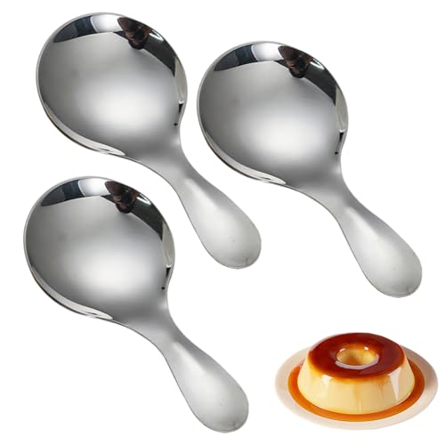 3 Pcs Stainless Steel Short Handle Spoons,Mini Short Handle Spoon, Condiment Tea Coffee Scoop Sugar Spice Spoon for Kitchen,Small Scoop Round Head Coffee Bean Spoons
