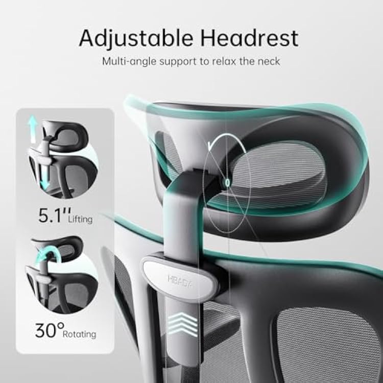 Hbada P3 Ergonnomic Office Chair with 2D Adjustable Lumbar Support, Office Chairs with Adjustable Headrest and Armrest, 145 Stepless Tilt Function, Black(No Footrest)