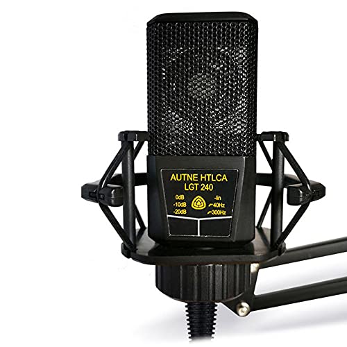 DUTTY Large Diaphragm Condenser Microphone Square Computer Mobile Phone K Song Mic Live Broadcast Equipment