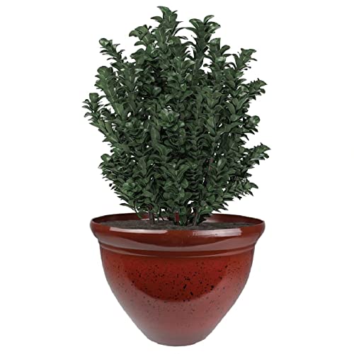 The Hc Companies 12 Inch Pizzazz Decorative Round Planter - Lightweight Premium Resin Plant Pot With A Ceramic Look For Indoor Outdoor Use, Warm Red #TOP4